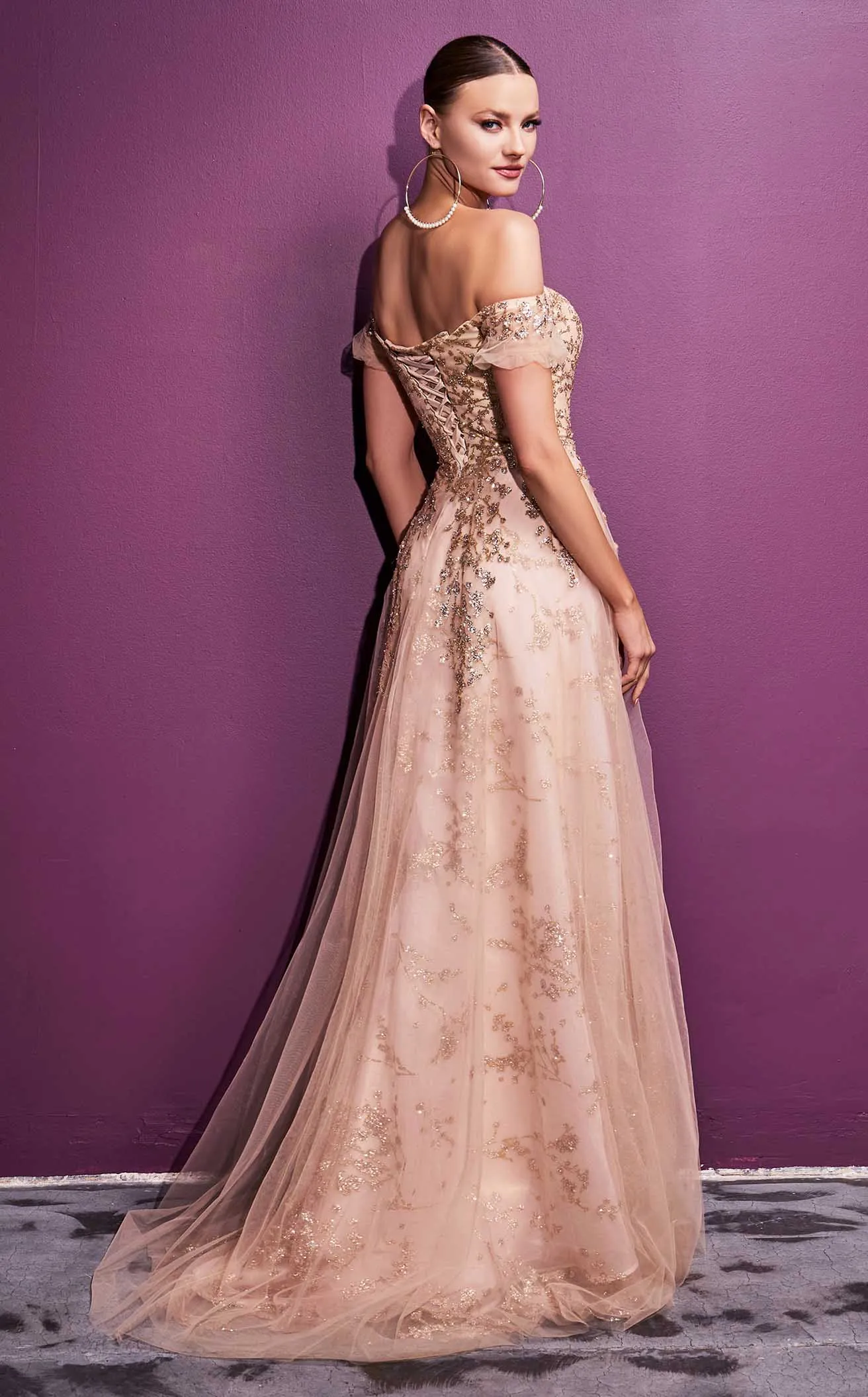 Cinderella Divine C73CL Dress