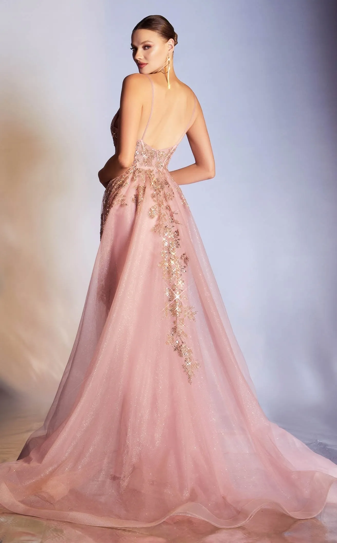 Cinderella Divine CR857 Dress